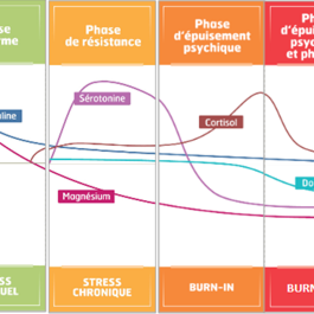 taux de cortisol Objectif Detox